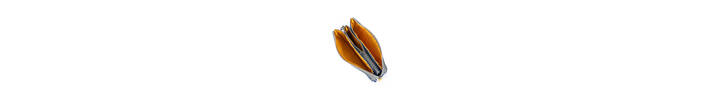 ROKA_Carnaby_Medium_Hickory_Inside.webp