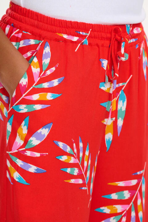 TR0094_3_460x.webp